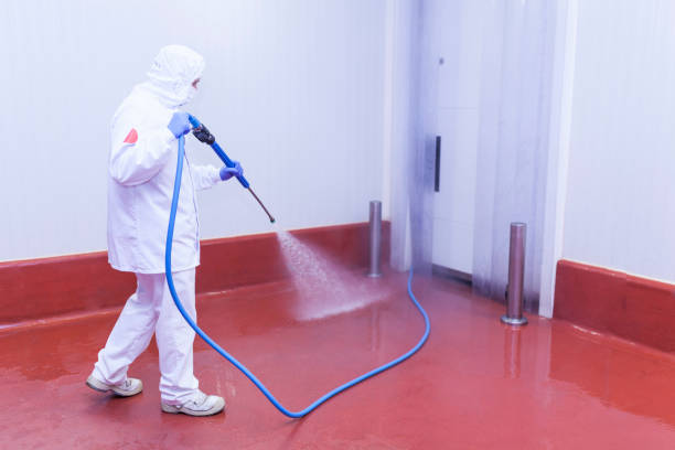 Pre-Holiday Cleaning in Seaford, NY